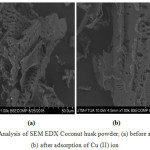 Figure 5: Analysis of SEM EDX Coconut husk powder; (a) before adsorption; (b) after adsorption of Cu (II) ion.