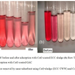 Figure 7: Color removal by nano-adsorbent using CuO-sludge (ECC-TWW) and CuO-GAC substrates.
