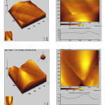 Figure 5: AFM - the three dimensional and two dimensional images (including line scan) of (a) TiO2 and (b) TS  composite coatings on Ti.