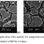 Figure 7: SEM micrographs of (a) TiO2 and (b) TS  composite coatings on Ti after biomimetic growth in Kokubo’s SBF for 14 days.