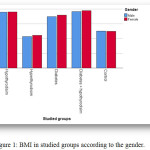 Figure 1: BMI in studied groups according to the gender.