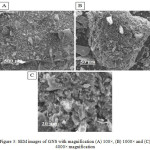 Figure 3: SEM images of GNS with magnification (A) 100×, (B) 1000× and (C) 4000× magnification.