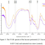 Figure 3: The FT-IR spectra of the laccase pretreated (2 U laccase, 0.025 U/ml) and untreated rice straw (control).