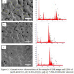 Figure 2: Microstructure observations of the samples SEM image and EDX of (a) 9LSO-CGO, (b) 8LSO-2CGO, and (c) 7LSO-3CGO after sintered at 1.500°C for 3 h.