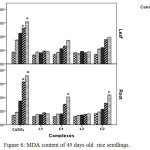 Figure 6: MDA content of 45 days old  rice seedlings. Mean ± SE, n = 3. * The mean difference is significant at the 0.05 level 