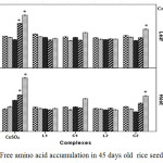 Figure 8: Free amino acid accumulation in 45 days old  rice seedlings. Mean ± SE, n = 3. * The mean difference is significant at the 0.05 level.