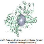 Figure 2: Prepared Lanosterol synthase (green) with a defined binding site (violet).