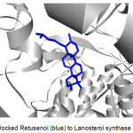 Figure 3: Docked Retusenol (blue) to Lanosterol synthase (gray).