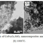 Figure 6: TEM micrograph of CoFe2O4:SiO2 nanocomposites annealed at (a) 750°C and (b) 1000°C.