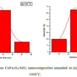 Figure 7: Histograms CoFe2O4:SiO2 nanocomposites annealed at (a) 750°C and (b) 1000°C.