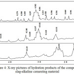 Figure 4: X-ray pictures of hydration products of the composite slag-alkaline cementing material.