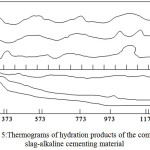 Figure 5:Thermograms of hydration products of the composite slag-alkaline cementing material.