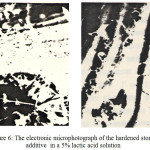 Figure 6: The electronic microphotograph of the hardened stone with the additive  in a 5% lactic acid solution.