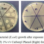 Figure 3: Bacterial (E.coli) growth after exposure to water control (Left) 1% v/v Carbonyl Phenol (Right) for 15 minutes.