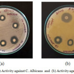 Figure 6: (a) Activity against C. Albicans and (b) Activity against A.Niger