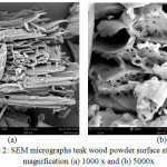 Figure 2: SEM micrographs teak wood powder surface structure at magnification (a) 1000 x and (b) 5000x