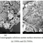 Figure 4: SEM micrographs cellulose acetate surface structure at magnification (a) 1000x and (b) 5000x.