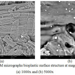 Figure 5: SEM micrographs bioplastic surface structure at magnification (a) 1000x and (b) 5000x.