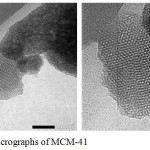 Figure 3: TEM micrographs of MCM-41