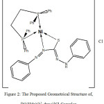 Figure 2: The Proposed Geometrical Structure of, [Ni(Hdz)(k2-dppe)]Cl Complex.
