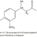Figure 1b: The structure of 4-(4-hydroxyphenyl-3-methoxy)-4-hydroxy-2-butanone.