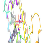 Figure 1: 3D interrelationship picture of  M15 (PDB ID: 1FM9) presenting hydrogen bonds with yellow dot lines in relation to amino acid SER 289, HIP 323 and TYR 473 respectively.  