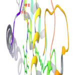 Figure 2: 3D interrelationship picture of  M17 (PDB ID: 1FM9) presenting hydrogen bonds with yellow dot lines in relation to amino acid MET 364, HIP 323 and TYR 473 respectively.