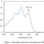 Figure 2: Absorption spectrum of lycopene in GSO