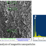 Figure 1: FeSEM-EDX analysis of magnetite nanoparticles.