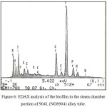 Figure 6: EDAX analysis of the biofilm in the steam chamber portion of 904L (NO8904) alloy tube.