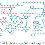Figure 2: Molecular structure of kukersite kerogen.8