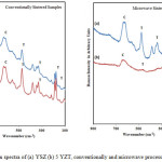 Figure 4: Raman spectra of (a) YSZ (b) 5 YZT, conventionally and microwave processed respectively.
