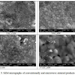 Figure 5: SEM micrographs of conventionally and microwave sintered products.