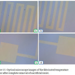 Figure 13: Optical microscope images of the fabricated temperature sensor after complete removal of sacrificial resist. 