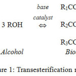 Figure 1: Transesterification reactions.