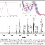 Figure 2: HPLC-PDA chromatogram of crude extract of Salvia verbenace L. (Lamiaceae) at 328 nm, their overlaid UV-Vis spectra (right corner of the chromatogram) and the UV-Vis spectrum of the major peak eluted at 29.9 minutes (left side to the major peak).