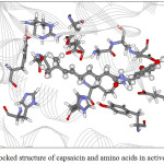 Figure 10: The docked structure of capsaicin and amino acids in active site of α-amylase.
