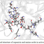 Figure 12: The docked structure of capsaicin and amino acids in active site of α -glucosidase.