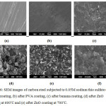 Figure 6: SEM images of carbon steel subjected to 0.05M sodium thio sulfate (a) before coating, (b) after PVA coating, (c) after banana coating, (d) after ZnO coating at 600°C and (e) after ZnO coating at 700°C.