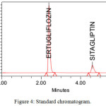 Figure 4: Standard chromatogram.