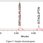 Figure 5: Sample chromatogram.