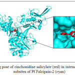 Figure 2: Binding pose of cinchonidine salicylate (red) in interaction to the various subsites of Pf Falcipain-2 (cyan)
