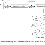 Figure 4: Schematic biosynthesis design of cinchona alkaloids derivatives (CAD) with iron oxide nanoparticle (IONP).