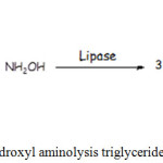 Figure 5: Hydroxyl aminolysis triglycerides reaction.