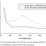 Figure 1: UV-Vis absorption spectra of (a) Psoralea corylifolia (Babchi) leaf extract and (b) Ag/ P. corylifolia(Babchi) emulsion after 60 min of incubation.