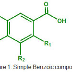 Figure 1: Simple Benzoic compounds.