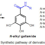 Figure 2: Synthetic pathway of derivatives2-7.