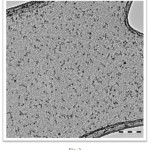 Figure 2: TEM images of NiO nanoparticles.