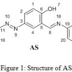 Figure 1: Structure of AS