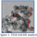 Figure 1: TEM Gd-MS analysis